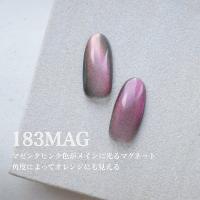 25GEL カラージェル 4g 183MAG