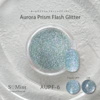 SMint エスミント オーロラプリズムフラッシュグリッター 約1g AUPF-6
