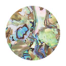 Ageha ナチュラルビーチシェル 2g ナチュラルマーブル Nz01 ネイル用品のオンラインショップ エヌイーエス