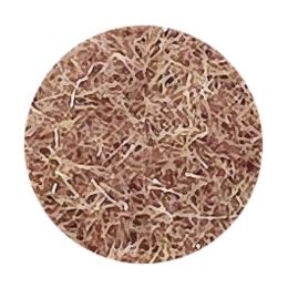 ココイスト プシュプシュフラッフィー 6g  03 ブラウン