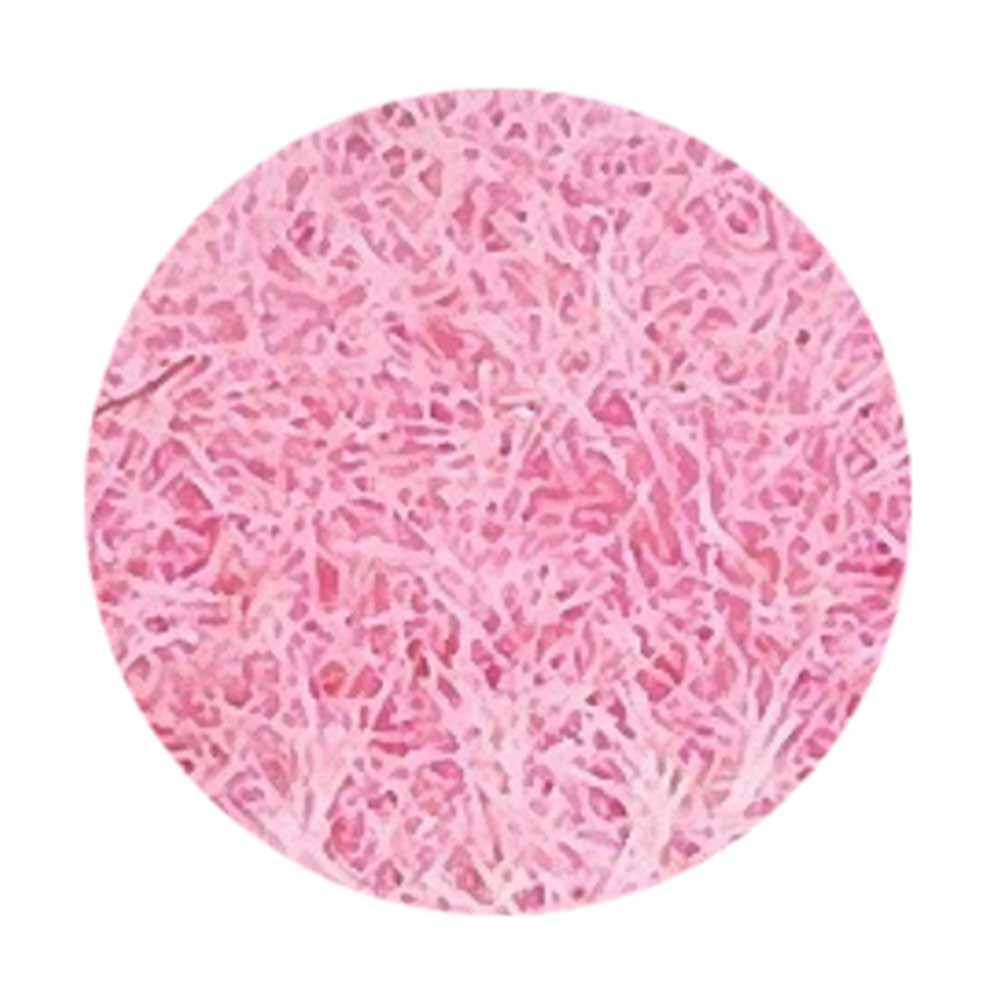 ココイスト プシュプシュフラッフィー 6g  04 ピンク