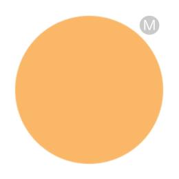 PREGEL カラーEX 3g PG-CE992 ソフトオレンジ