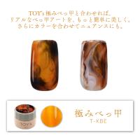 TOY's×INITY 極みべっ甲の素 5g