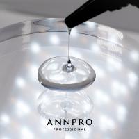 ANNPRO ソリッドモールドジェル 50ml #38374