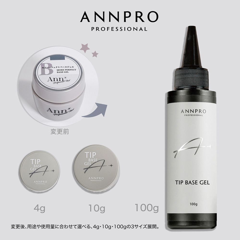 ANNPRO チップベース 4g #38265