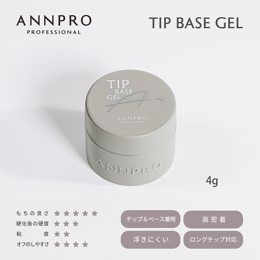 ANNPRO チップベース 4g #38265