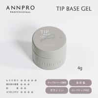 ANNPRO チップベース 4g #38265