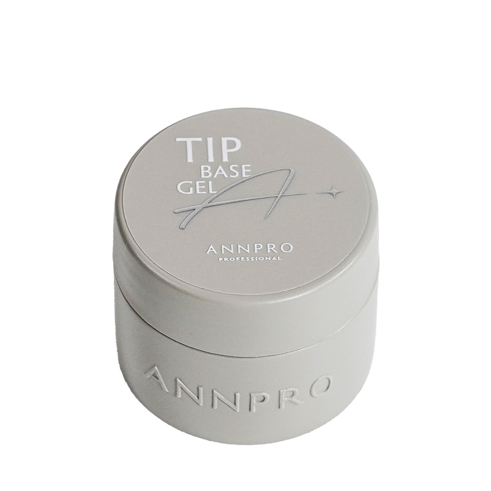 ANNPRO チップベース 10g #38266