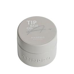 ANNPRO チップベース 10g #38266
