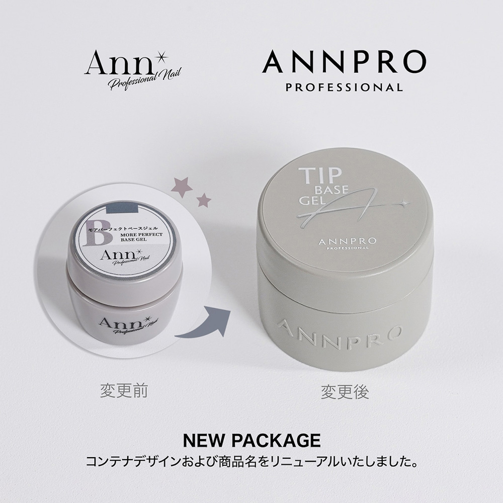 ANNPRO チップベース 10g #38266