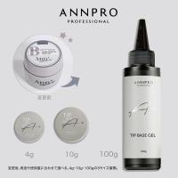 ANNPRO チップベース 10g #38266