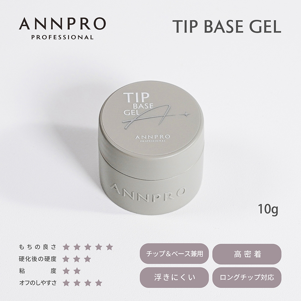 ANNPRO チップベース 10g #38266