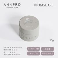 ANNPRO チップベース 10g #38266