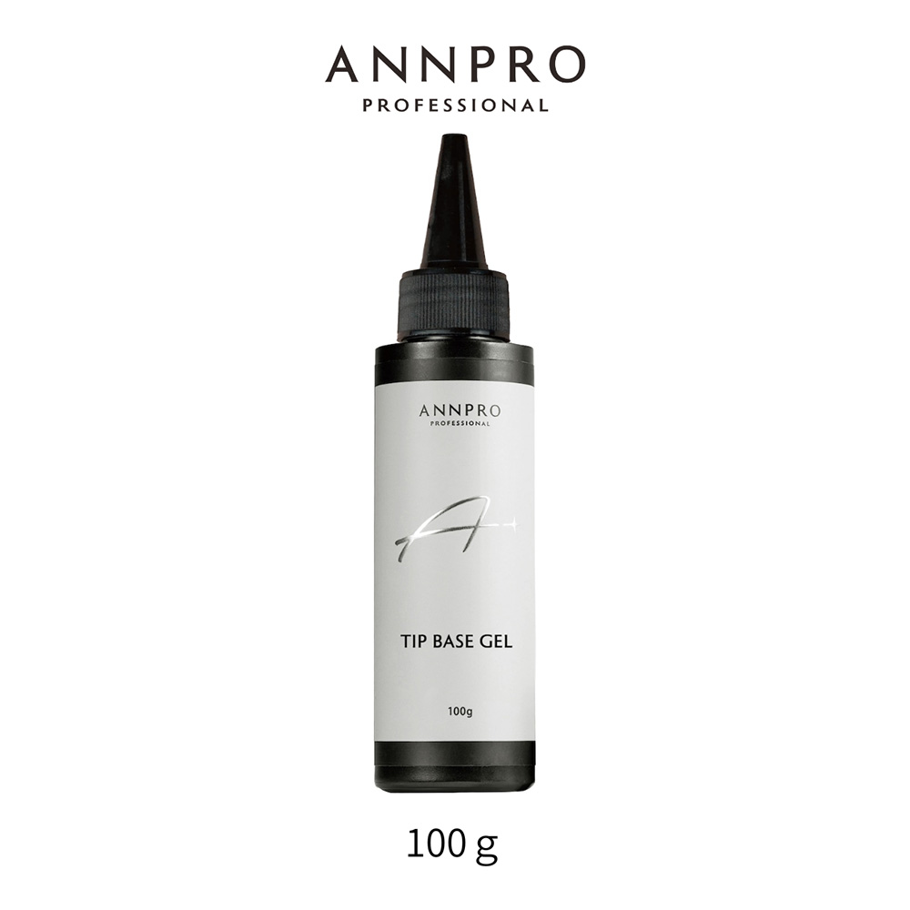 ANNPRO チップベース 100g #38267