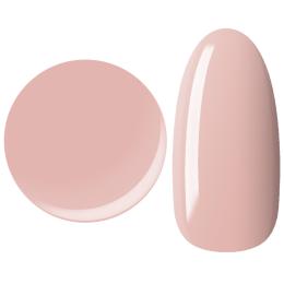 25GEL カラージェル 4g 007M/±0