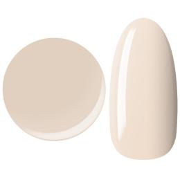 25GEL カラージェル 4g 008M/±0
