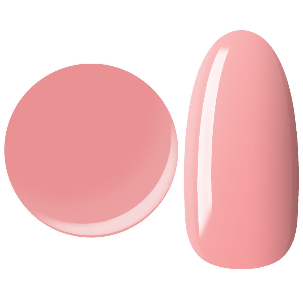 25GEL カラージェル 4g 010M/±0