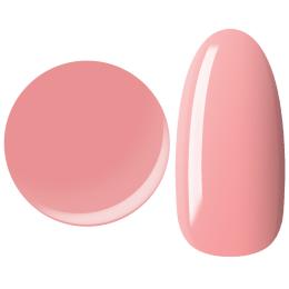 25GEL カラージェル 4g 010M/±0