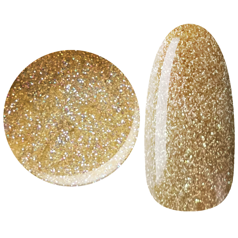 25GEL カラージェル 4g 040G【在庫限り】