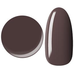 25GEL カラージェル 4g 079M
