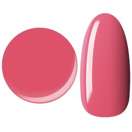 25GEL カラージェル 4g 134M/±0