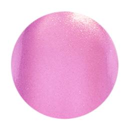 D.nail パルプマグジェル 7g PU02 プルーンプラム #8661