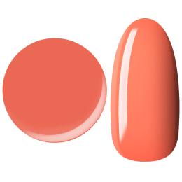 25GEL カラージェル 4g 161M/-1