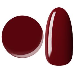 25GEL カラージェル 4g 209M/+2