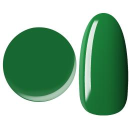 25GEL カラージェル 4g 213M/+1