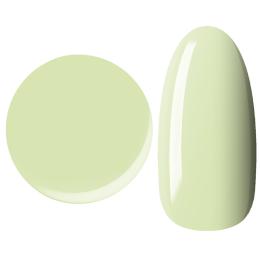 25GEL カラージェル 4g 214M/+1