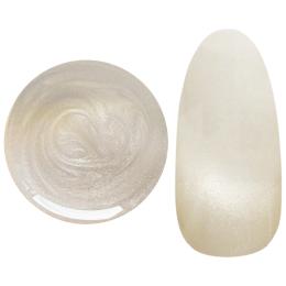 25GEL カラージェル 4g 224MAG