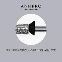ANNPRO シームレスビット #38378