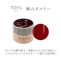 TOY's×INITY 極みボルドー 5g T-KBD