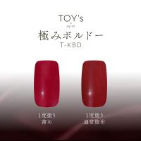 TOY's×INITY 極みボルドー 5g T-KBD