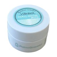 vibrant by Palms Graceful カラージェル 3g MAG #006