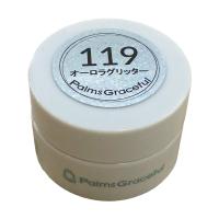 Palms Graceful カラージェル 3g 119 オーロラグリッター