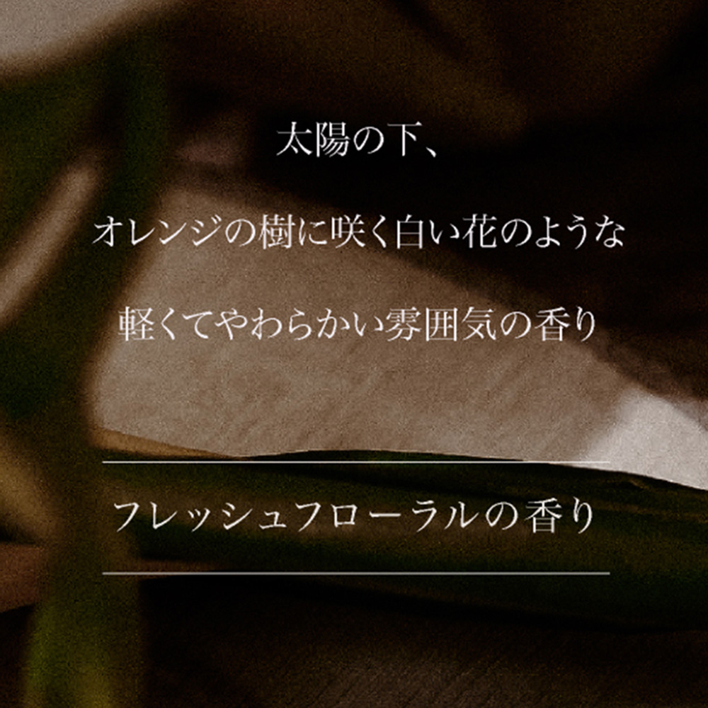 ARTIS di Voce パフュームファブリックスプレー 10g 3301 デューオブネロリ