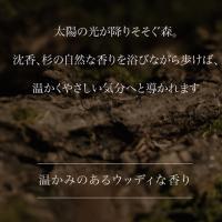 ARTIS di Voce パフュームファブリックスプレー 10g 3305 シダーグローブ
