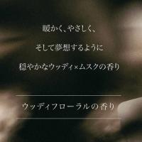 ARTIS di Voce パフュームファブリックスプレー 120g 3304 ムスクランド
