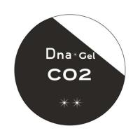 Dna Gel カラージェル 2.5g C02 チュールブラック