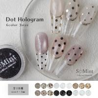 SMint エスミント ドットホログラム 約1g 3 プラチナム 3mm