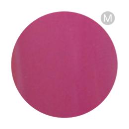 リーフジェルプレミアム カラージェル 4g 801 カシス