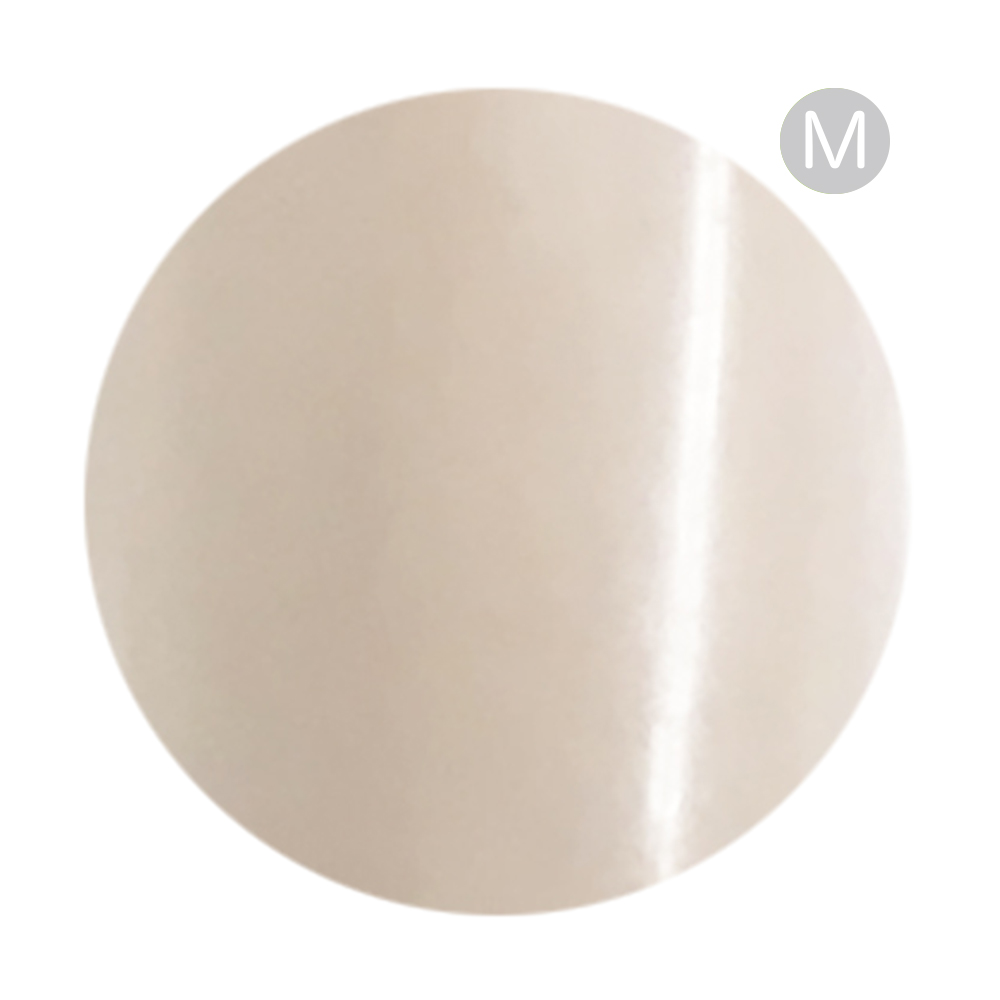 リーフジェルプレミアム カラージェル 4g 039 プランダルジャンブトンN