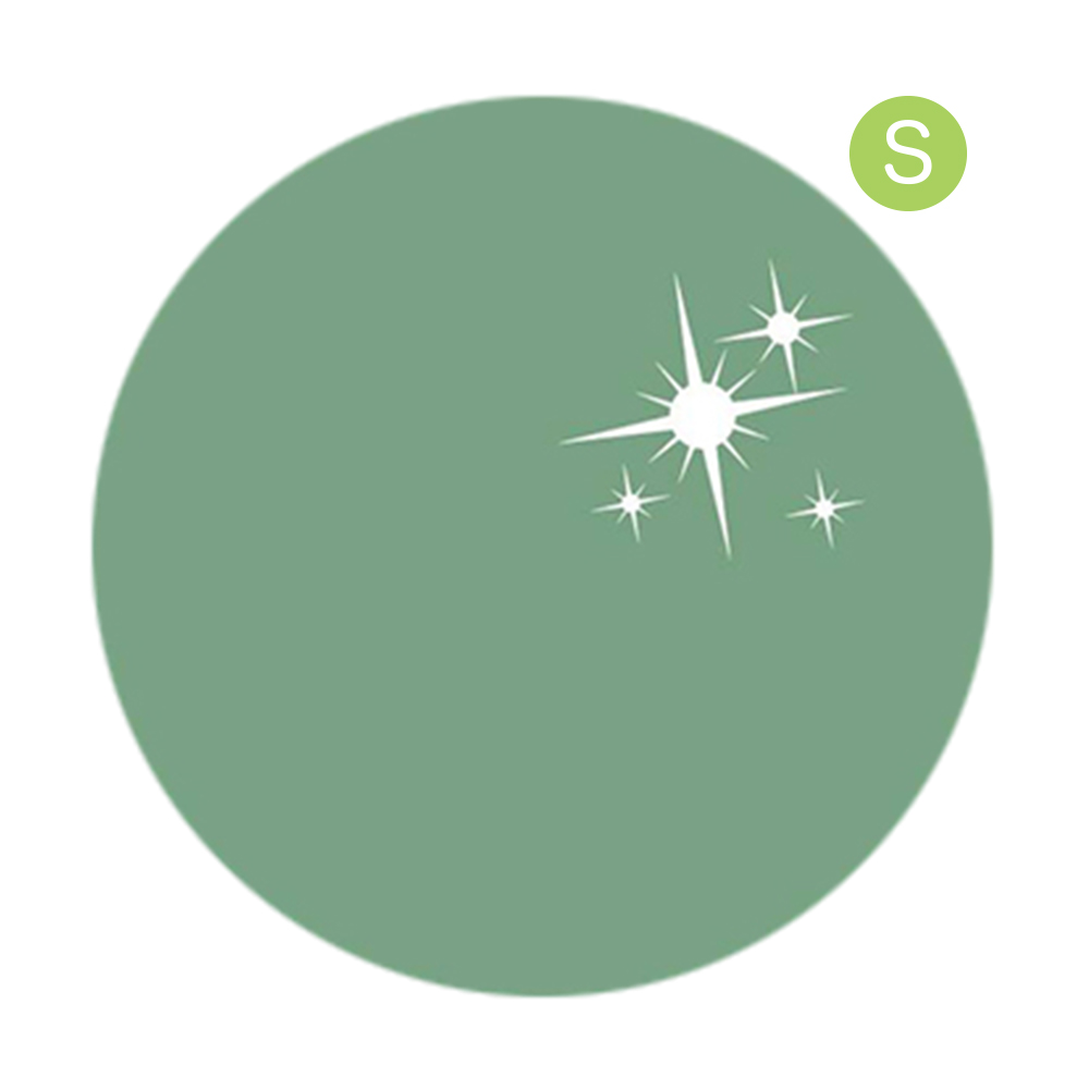 リーフジェルプレミアム カラージェル 4g 462 グレイッシュミント