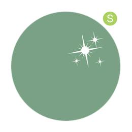 リーフジェルプレミアム カラージェル 4g 462 グレイッシュミント