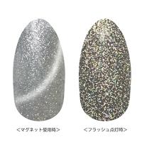 リーフジェルプレミアム スペースオペラ 5g オンフラッシュ31プラチナシルバー×シルバー