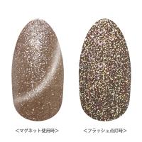 リーフジェルプレミアム スペースオペラ 5g オンフラッシュ32シャンパンベージュ×シルバー