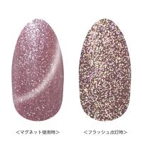 リーフジェルプレミアム スペースオペラ 5g オンフラッシュ33ラベンダーピンク×シルバー