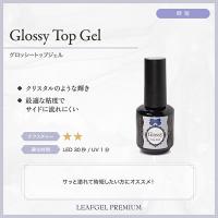リーフジェルプレミアム グロッシートップジェル 15g