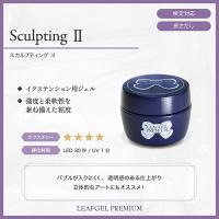 リーフジェルプレミアム スカルプティングジェルII 8g
